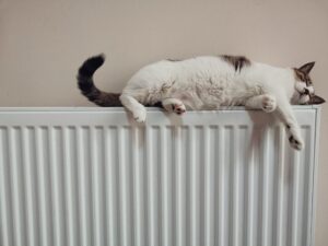 Repertorio, riscaldamento termosifone