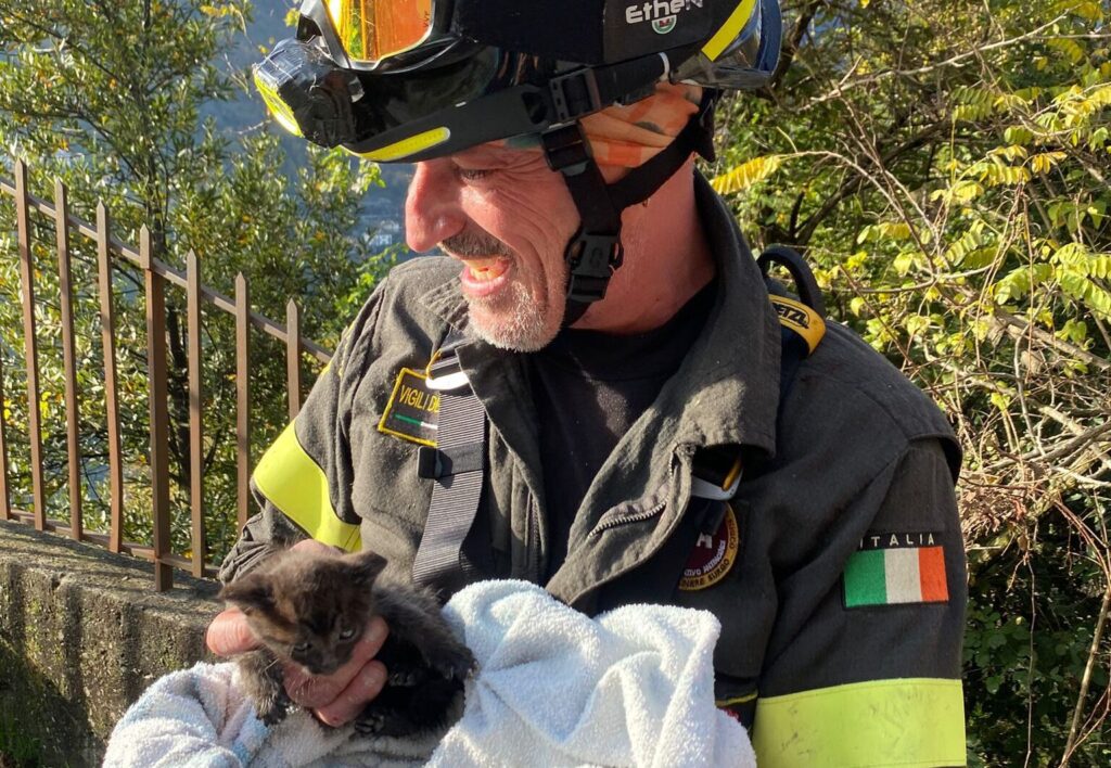 Gattino Vigili del Fuoco Como 1