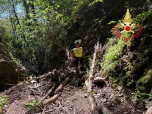 Foto dei Vigili del Fuoco