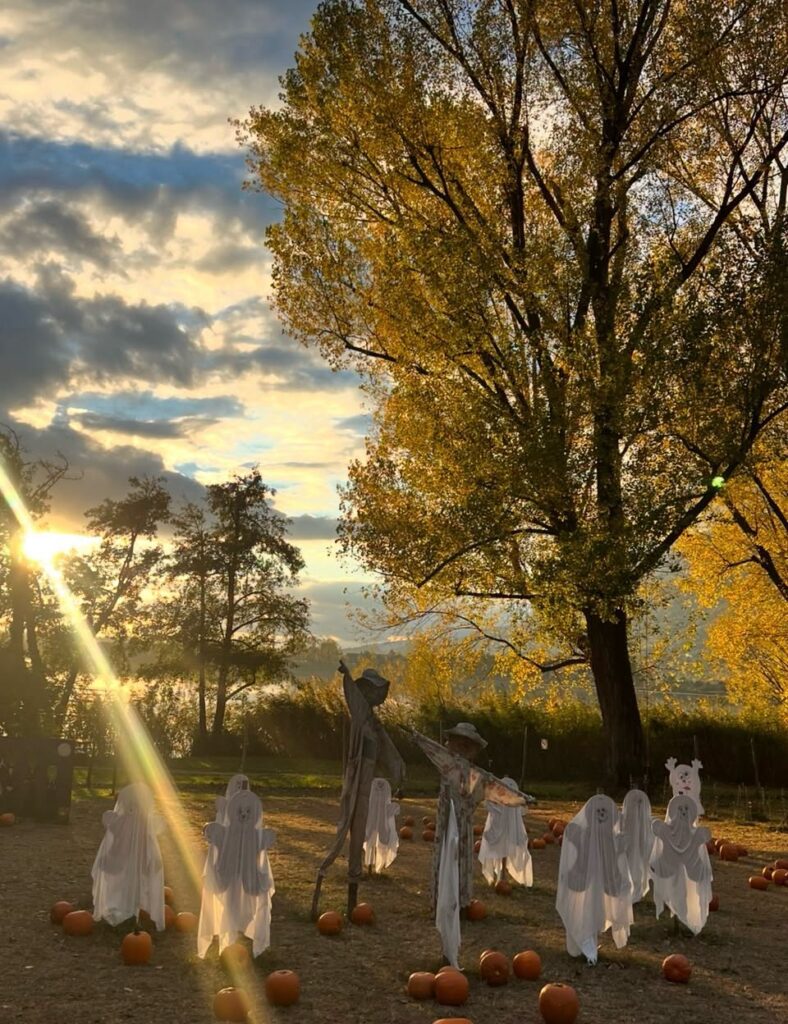 Foto dalla pagina Facebook del Campo di Galbiate