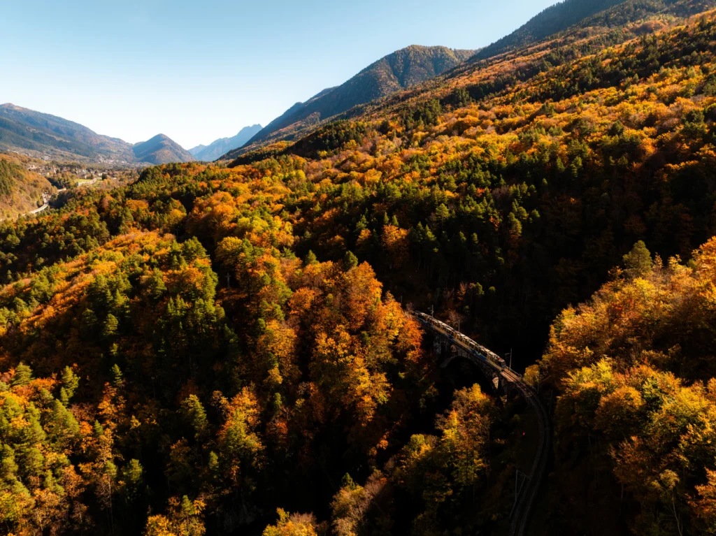 Foto dal sito ufficiale https://www.vigezzinacentovalli.com/esperienze/il-treno-del-foliage/