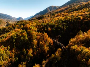 Foto dal sito ufficiale https://www.vigezzinacentovalli.com/esperienze/il-treno-del-foliage/